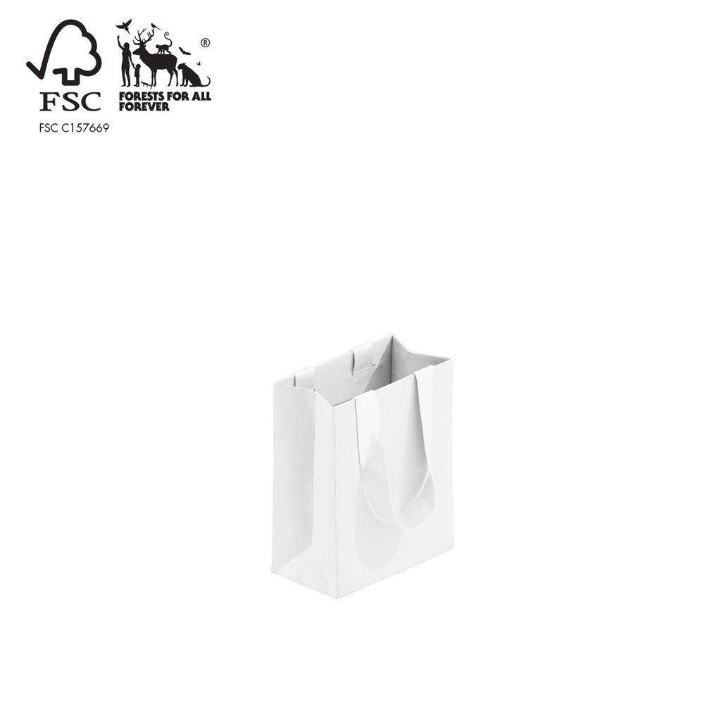 Style paper bag small with ribbon handle (A8032.1WH)