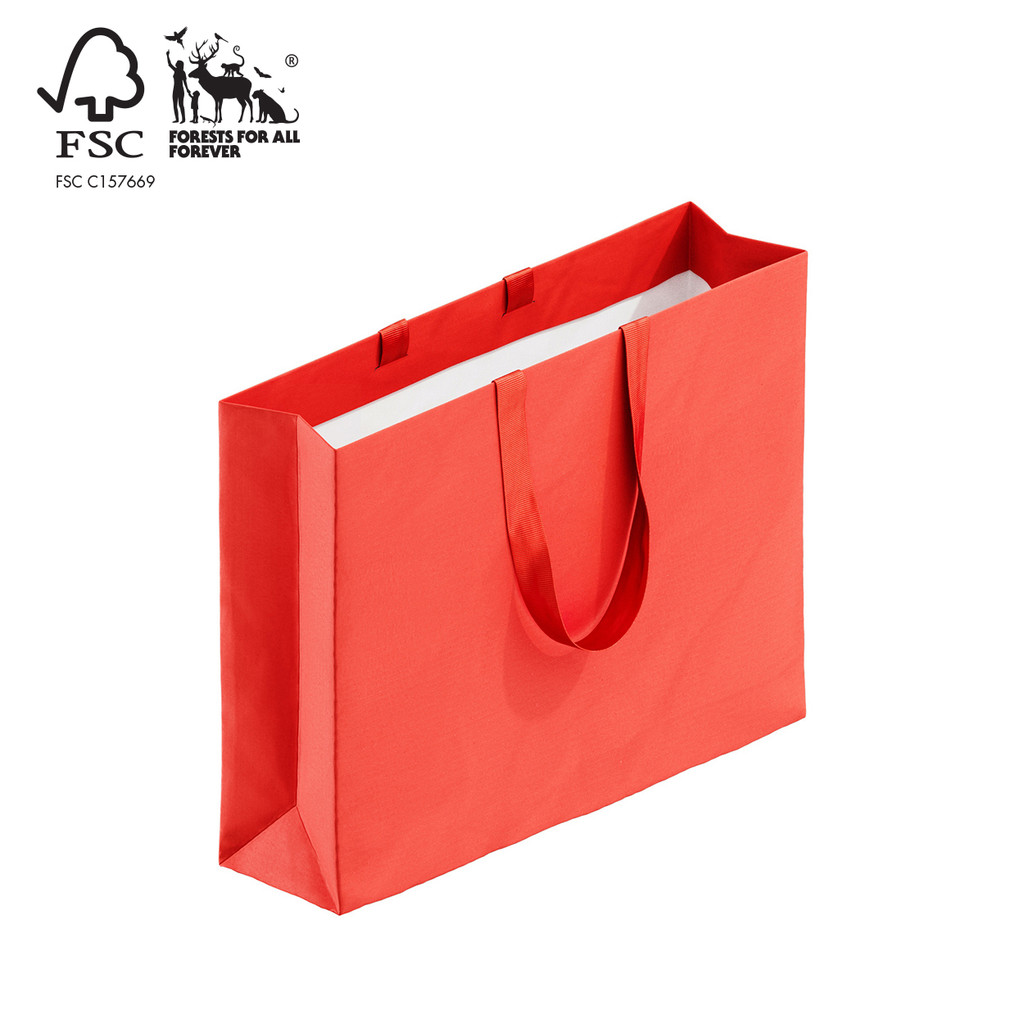 Style Paper Bag Boutique with ribbon handle (A8039.1RD)