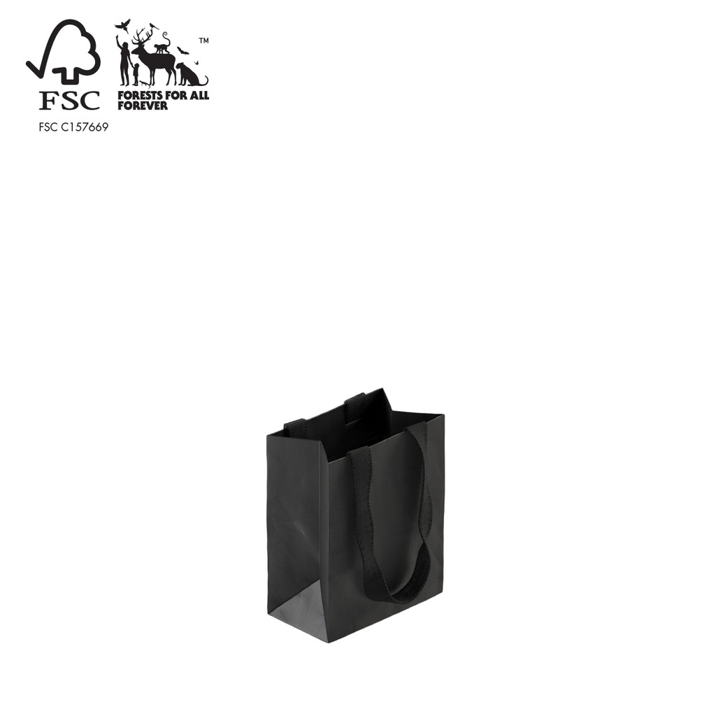 Style paper bag small with woven ribbon handle 160 W x 200 H x 90 mm gusset(A8032.2BK)