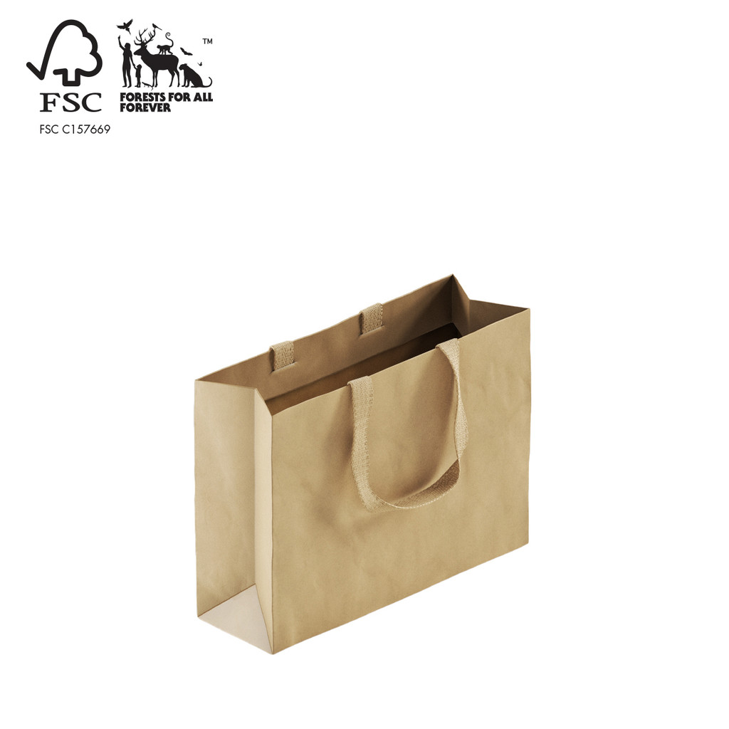 Shop for Shops Style Paper Bag Small Boutique with woven ribbon handle 350 W x 260 H x 110mm gusset(A8038.2NAT)