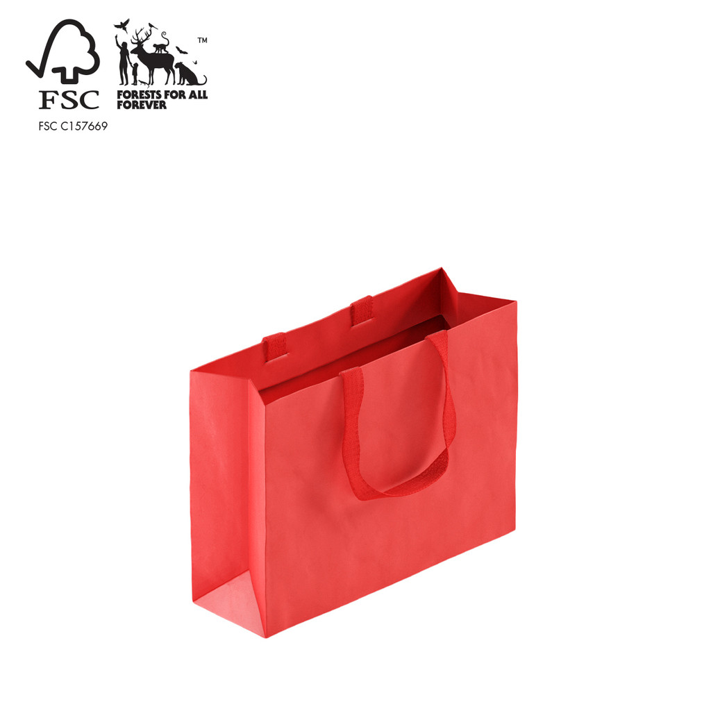 Shop for Shops Style Paper Bag Small Boutique with woven ribbon handle 350 W x 260 H x 110mm gusset(A8038.2RD)