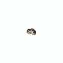 Shop for Shops 2-way connector for assembly of glass cube units Suitable for 5 mm Thick Glass(F1002CH)