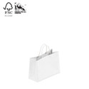 Shop for Shops Kraft paper bag boutique extra small with handle 250 W x 180 H x 100 mm gusset(A8026.1WH)