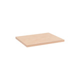 Shop for Shops MAXe 30 mm shelf 500 D - 600 mm bay 593 W x 30 mm Thick(E6506PY)