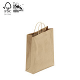 Shop for Shops Kraft paper bag small with handle 260 W x 350 H x 95 mm gusset(A8021.1BN)