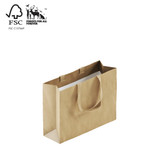 Style Paper Bag Small Boutique with ribbon handle 350 W x 260 H x 110mm gusset(A8038.1GD)
