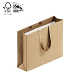 Shop for Shops Style Paper Bag Boutique with ribbon handle 450 W x 350 H x 120mm gusset(A8039.1GD)
