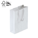 Shop for Shops Style paper bag large with woven ribbon handle 340 W x 460 H x 130 mm gusset(A8034.2WH)