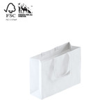 Shop for Shops Style Paper Bag Small Boutique with woven ribbon handle 350 W x 260 H x 110mm gusset(A8038.2WH)