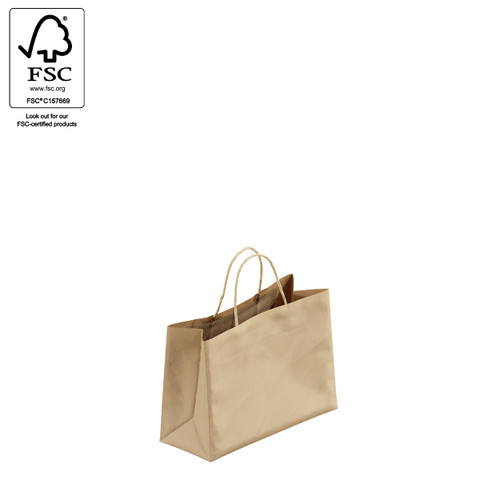 Kraft paper bag boutique extra small with handle  250 W x 180 H x 100 mm gusset(A8026.1BN)
