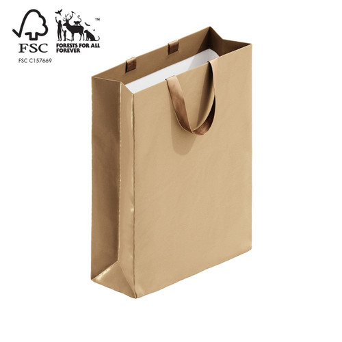 Shop for Shops Style paper bag large with ribbon handle 340 W x 460 H x 130 mm gusset(A8034.1GD)