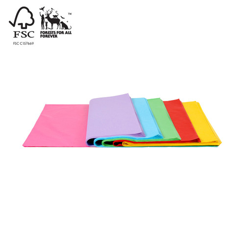 Shop for Shops Tissue wrapping paper rainbow pack, colour fast and acid free, 500 x 750mm - 480 sheets(A3100.1RP)