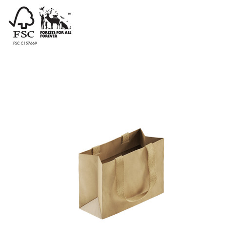 Shop for Shops Style Paper Bag Extra Small Boutique woven ribbon handle 250 W x 180 H x 100mm gusset(A8037.2NAT)