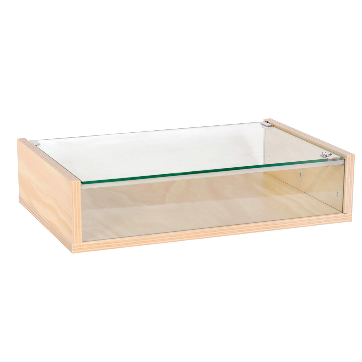 Shop for Shops Counter top display case with lockable glass top 390 D x 590 W x 138 mm H(F1900PY)