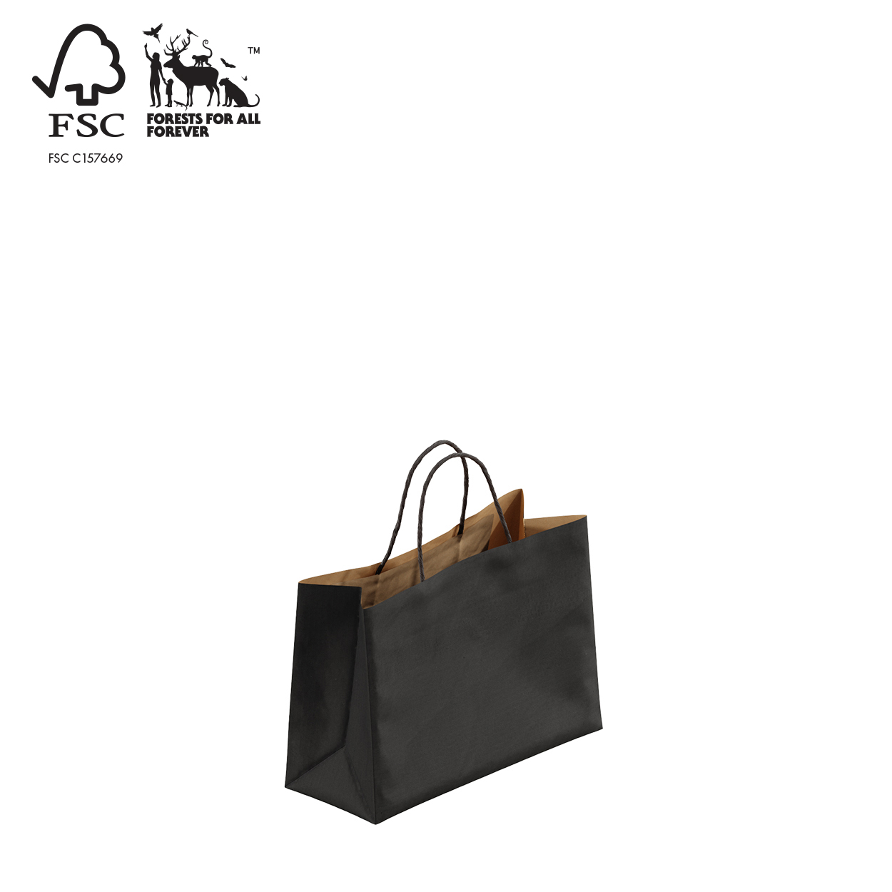 Shop for Shops Kraft paper bag boutique extra small with handle 250 W x 180 H x 100 mm gusset(A8026.1BK)