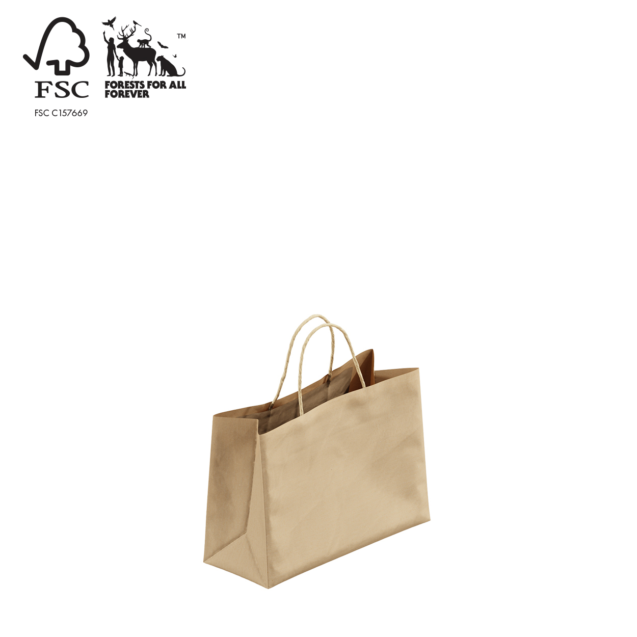 Shop for Shops Kraft paper bag boutique extra small with handle 250 W x 180 H x 100 mm gusset(A8026.1BN)