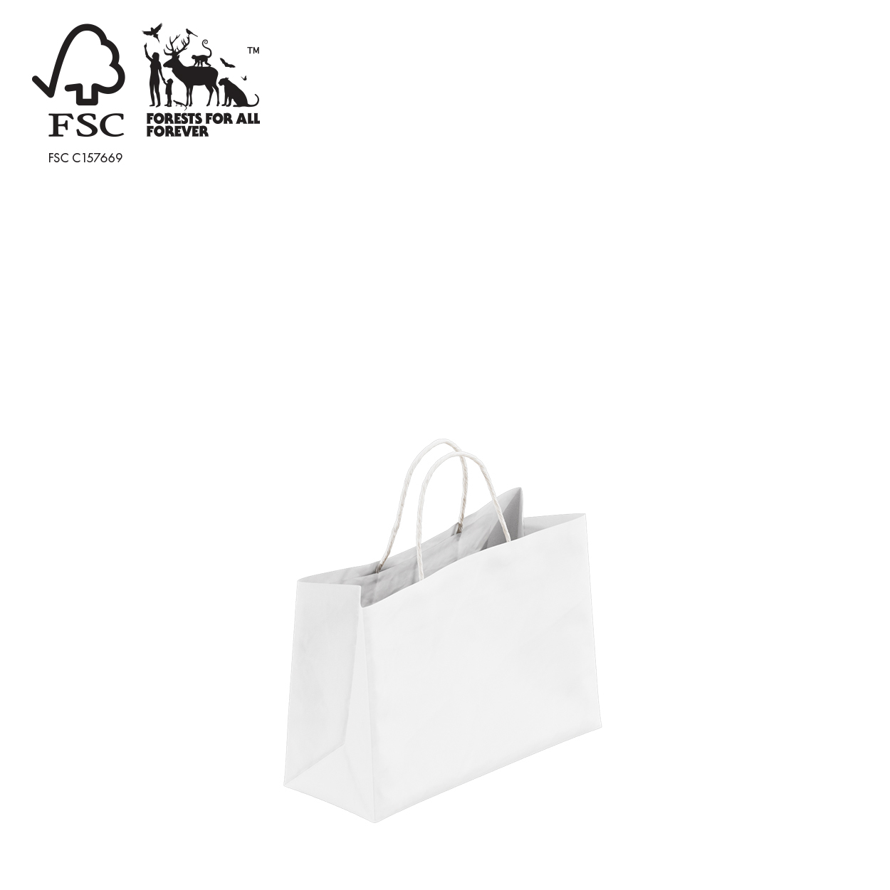 Shop for Shops Kraft paper bag boutique extra small with handle 250 W x 180 H x 100 mm gusset(A8026.1WH)