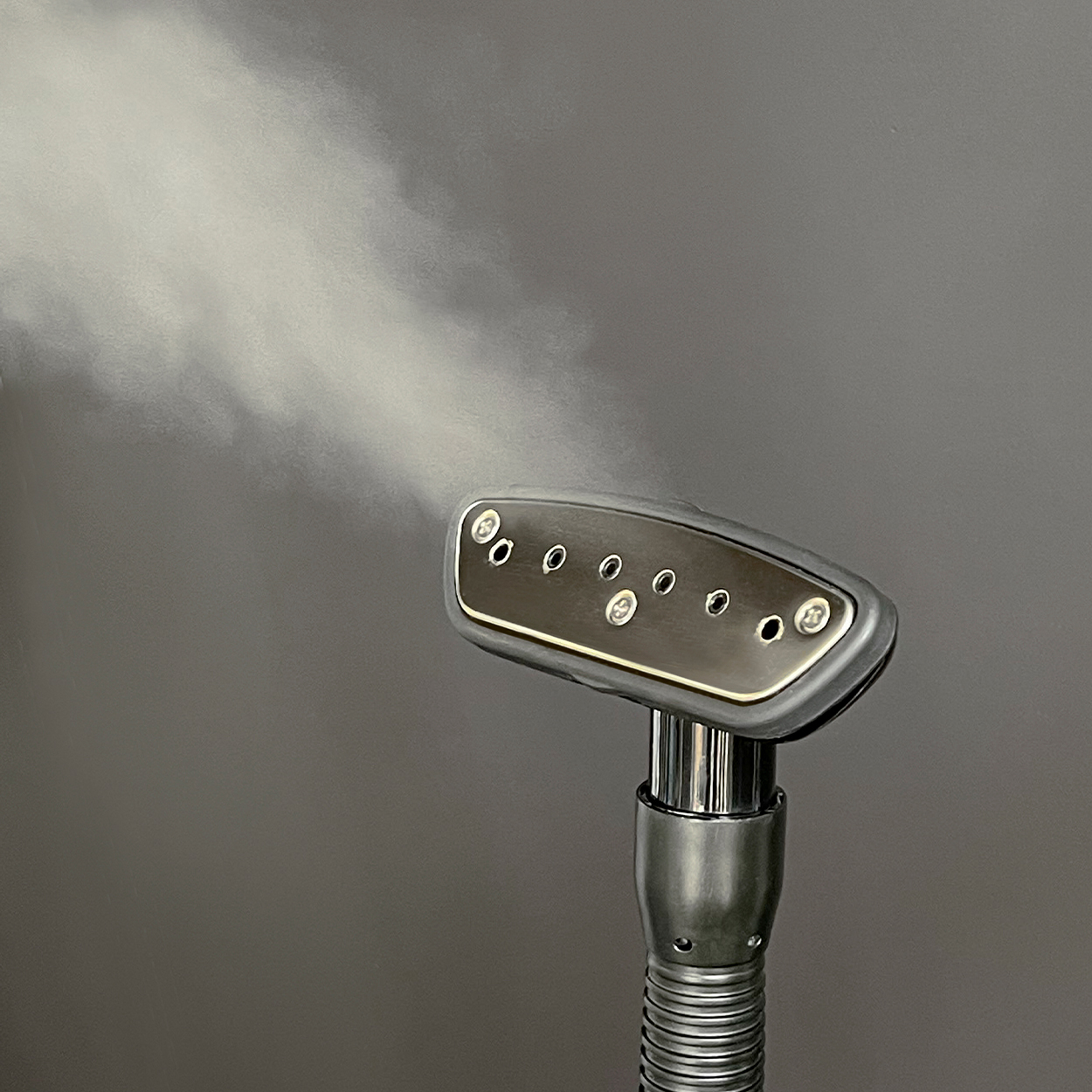Professional Steamer (A6280BK)
