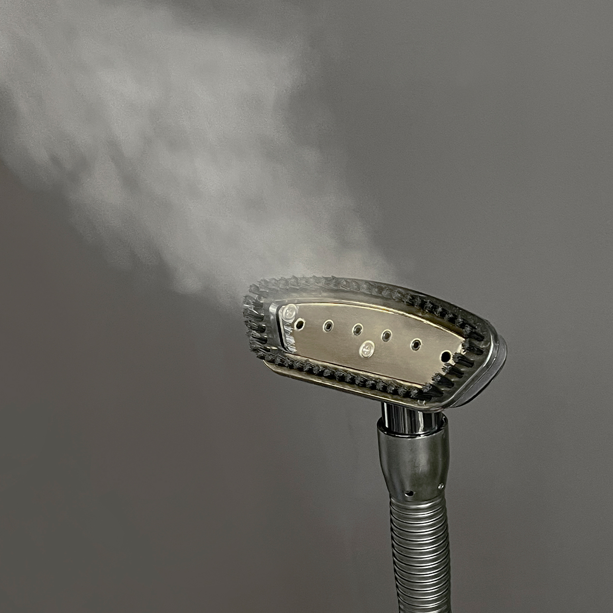 Professional Steamer (A6280BK)