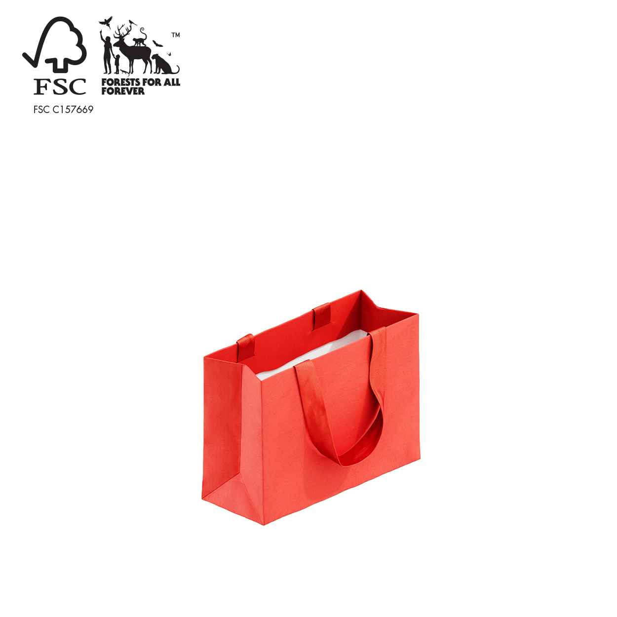 Shop for Shops Style Paper Bag Extra Small Boutique ribbon handle 250 W x 180 H x 100mm gusset(A8037.1RD)