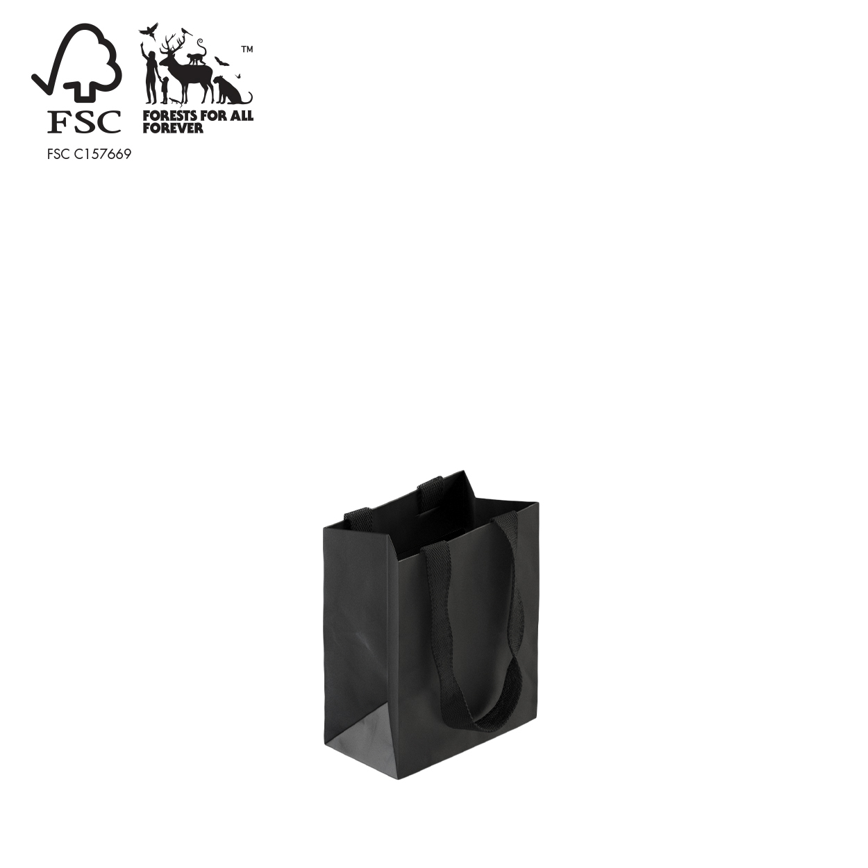 Style paper bag small with woven ribbon handle 160 W x 200 H x 90 mm gusset(A8032.2BK)