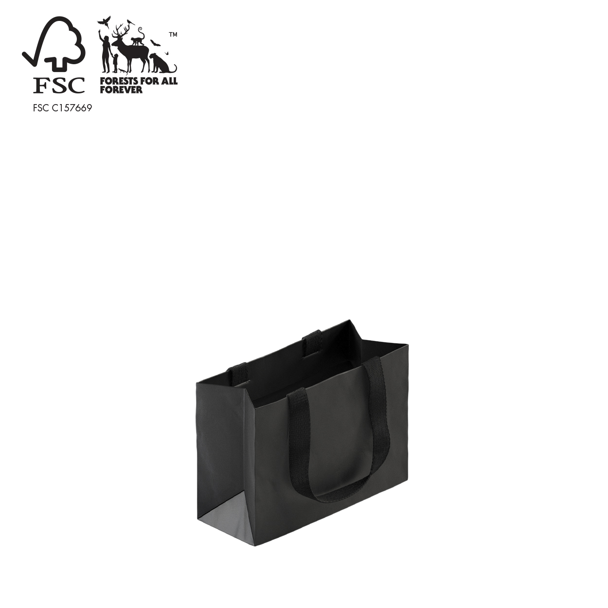 Shop for Shops Style Paper Bag Extra Small Boutique woven ribbon handle 250 W x 180 H x 100mm gusset(A8037.2BK)