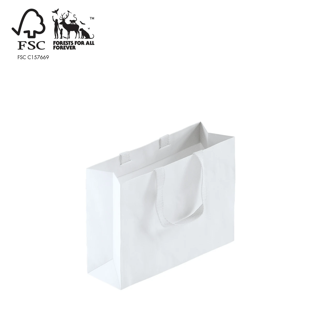 Shop for Shops Style Paper Bag Small Boutique with woven ribbon handle 350 W x 260 H x 110mm gusset(A8038.2WH)