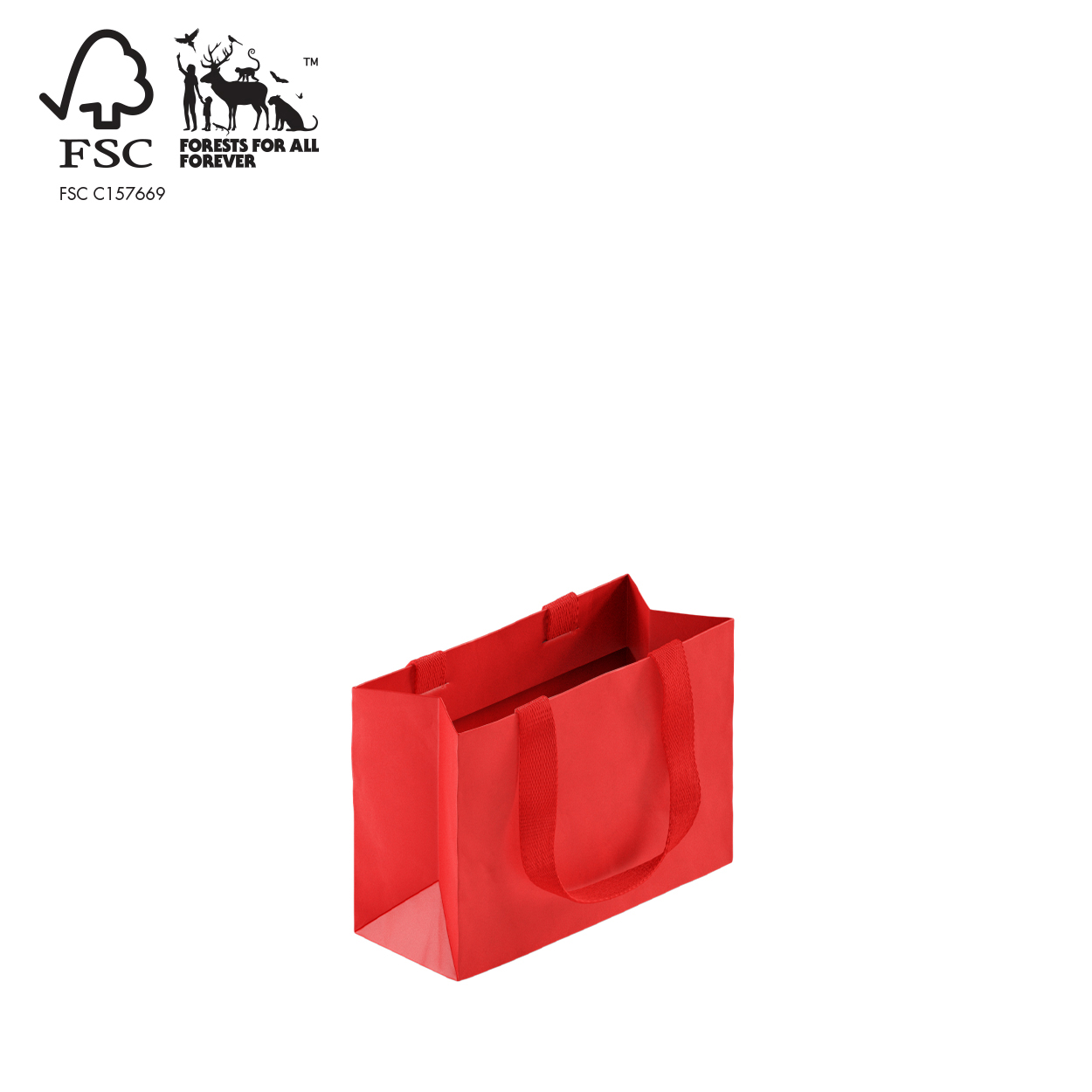 Shop for Shops Style Paper Bag Extra Small Boutique woven ribbon handle 250 W x 180 H x 100mm gusset(A8037.2RD)