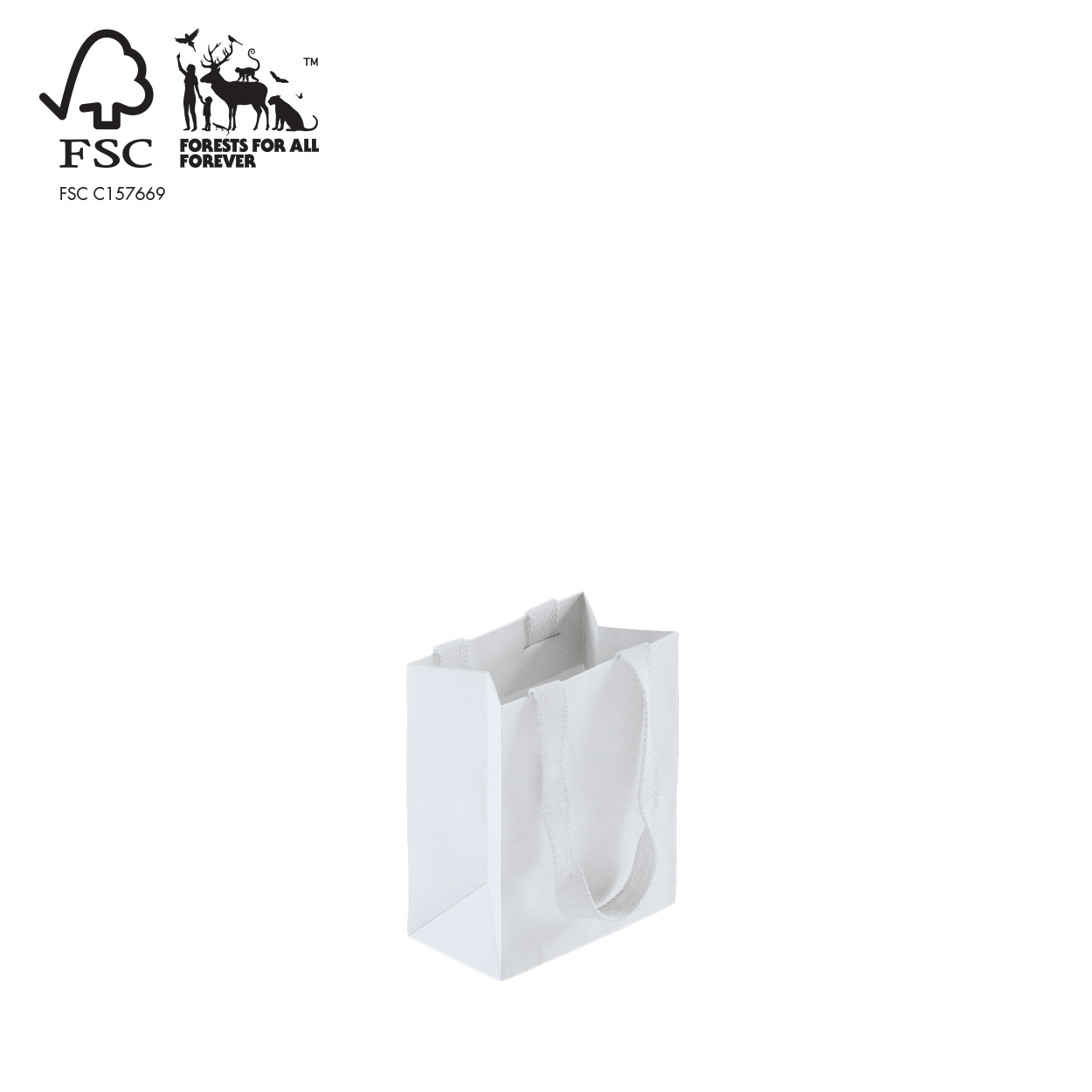 Shop for Shops Style paper bag small with woven ribbon handle 160 W x 200 H x 90 mm gusset(A8032.2WH)