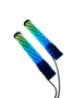 VYPR 1FT BIG DOG WHIP LED LIGHTS - PAIR