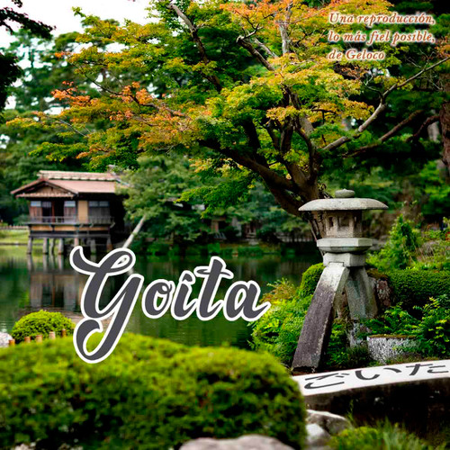 Goita - Edición de lujo