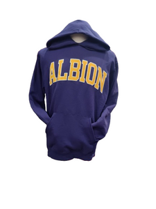 Champion Albion Hoodie Purple