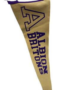 Felt Albion College Banner