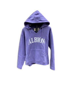 Albion Purple Hoodie