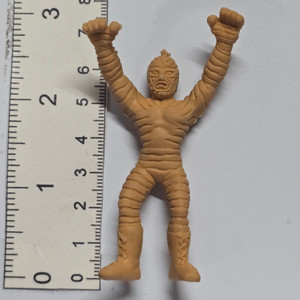 Tiger Mask Series - Brown #02 (STAINED / DISCOLORED / ETC) - 20260628