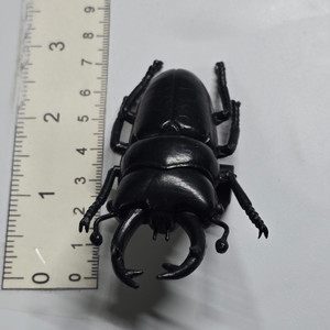 Pullback Vehicle Style Beetle Mini Figure - 20260712 - RWK674