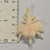 Neclos Fortress - Part 08 - Ivory / White - Dragonfly - 20260319 - RWK616