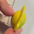 Kinkeshi - Yellow - Silver Mask - 20260331