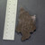 Korean Rubber Ddakji Game Piece - Blackish - Pokemon - Goldeen - 20260607 - RWK650