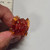 Radioactive Lawsuit Lizard - Clear Orange - 20260612 - RWK644