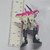 Martian Successor Nadesico Series Gashapon Mini Figure - 20260626