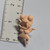 One Piece Keshi Series - Flesh #12 - 20260701 - RWK665