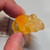 Dinosaur Keshi - Clear #09 - 20260709 - RWK667