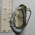 Oyster Mini Figure Keychain Charm Strap - 20260720