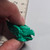 Bio Puzzler Series - Green #02 - 20260720