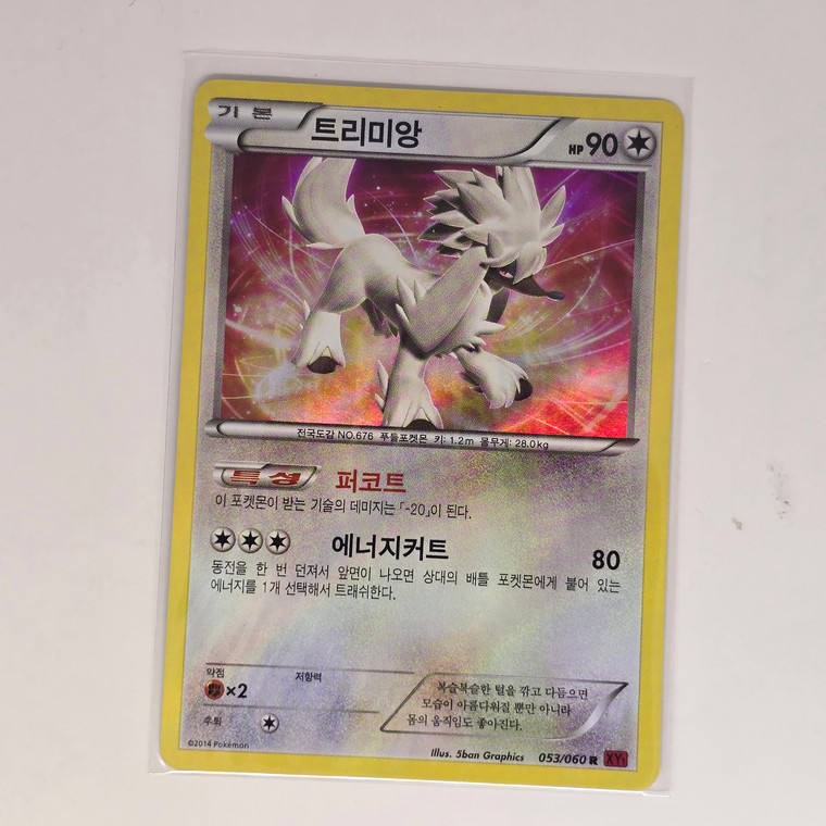 Korean Pokemon Card - X & Y Era - R / Rare Holo Foil - Furfrou  - 20241230 - RWK487 - BNDR
