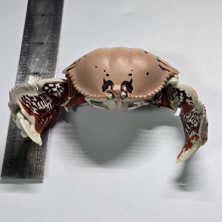 Crab Crab Crab Crab Crab Crab Crab Crab Crab Crab Crab Crab  - 20250910