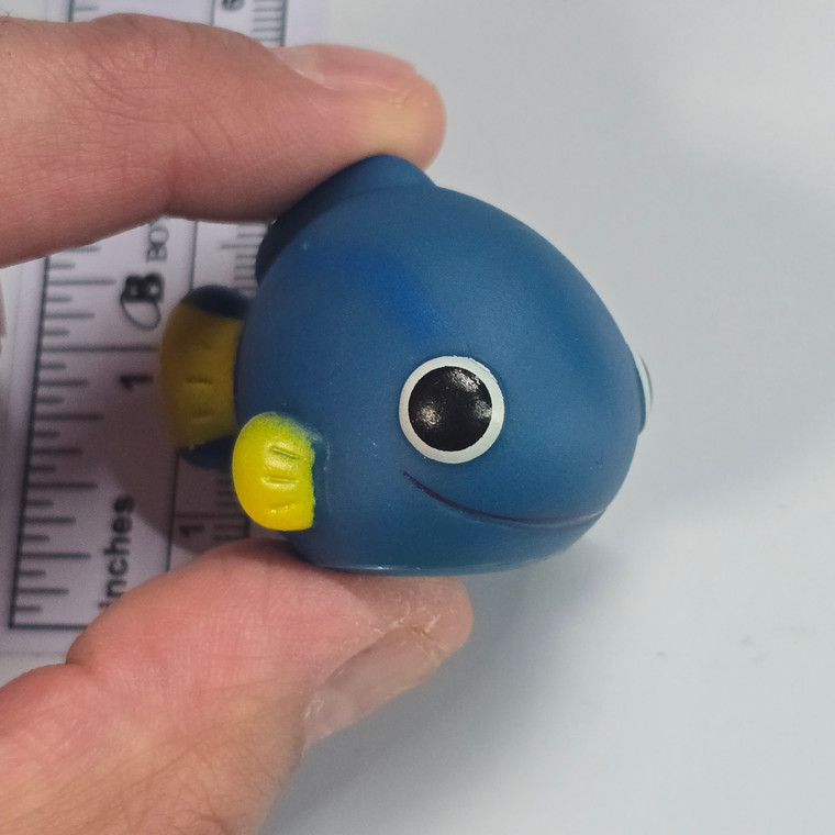 FISH - 20251229