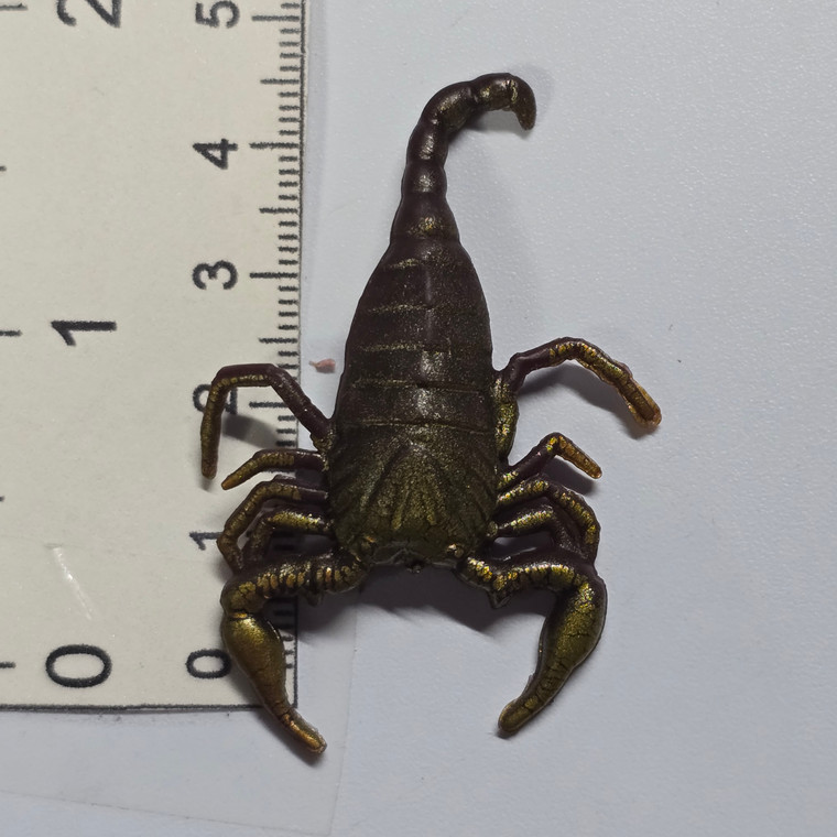 Tiny Rubber Scorpion Homie - 20260709 - RWK667