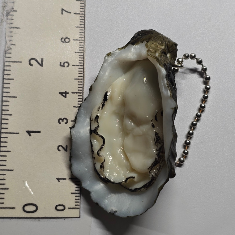 Oyster Mini Figure Keychain Charm Strap - 20260720